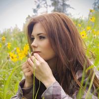 Отзыв от Александра - Виза Destination Thailand